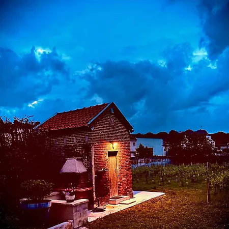 La Maison Du Clos En Champagne