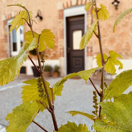 La Maison Du Clos En Champagne *