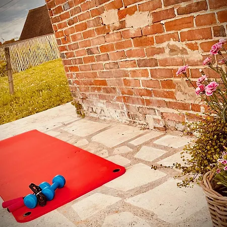 La Maison Du Clos En Champagne Holiday home *