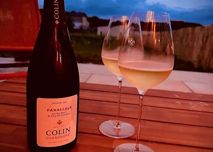 La Maison Du Clos En Champagne * Blancs-Coteaux