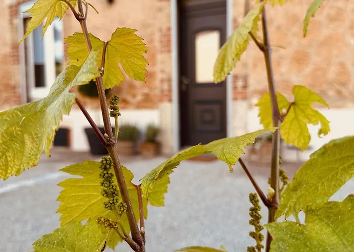 La Maison Du Clos En Champagne *